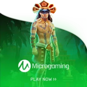 micro gaming by สล็อต fc
